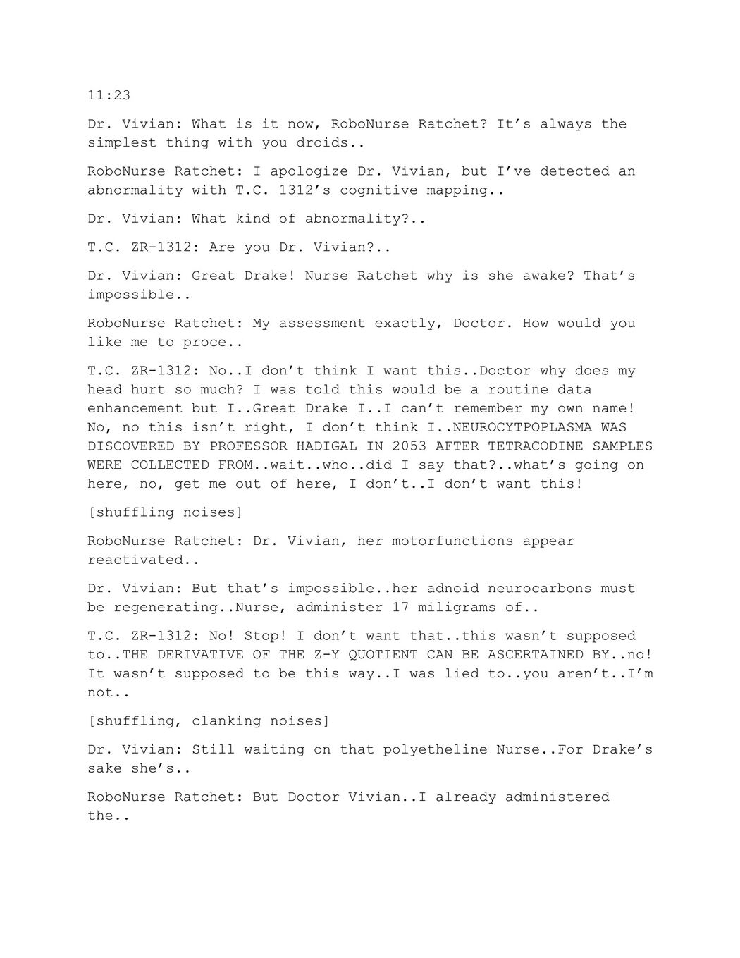 Excerpts from DISS ERROR REPORT 2-2.jpg