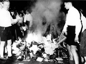 Hitler youth burning books.jpg.webp