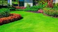 The+Perfect+Lawn+in+Six+Steps+3-27-20.jpg