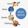 Basic needs.jpg