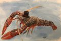 Fancy Lobster.jpg