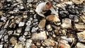 Burned-Books-Getty-AFP.jpg